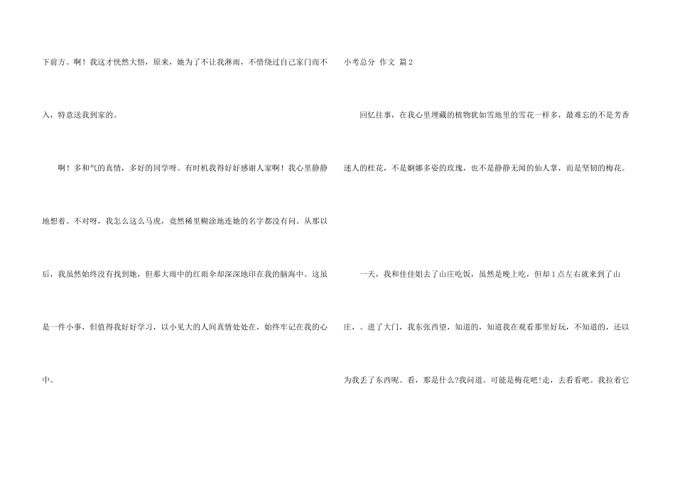 小考满分锦集七篇_第3页