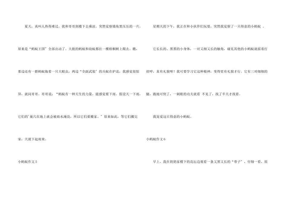 小蚂蚁合集15篇_第3页