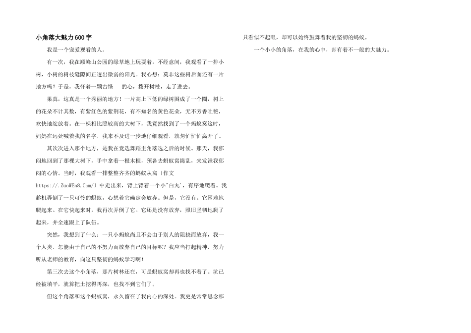 小角落大魅力600字_第1页