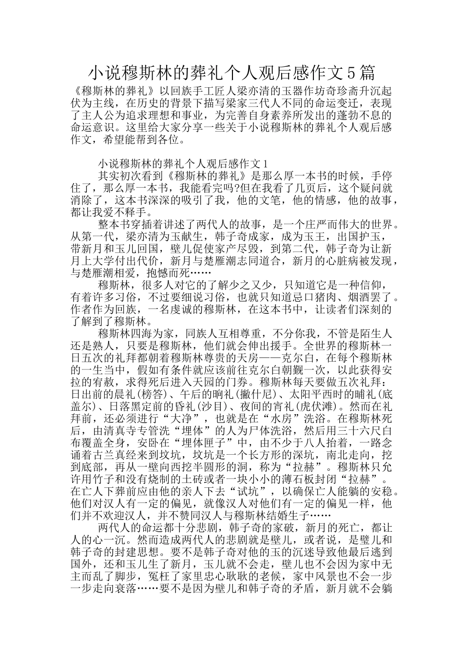 小说穆斯林的葬礼个人观后感作文5篇_第1页