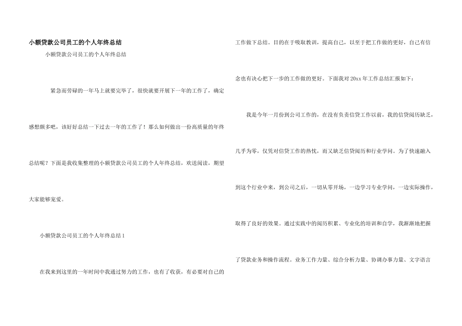 小额贷款公司员工的个人年终总结_第1页