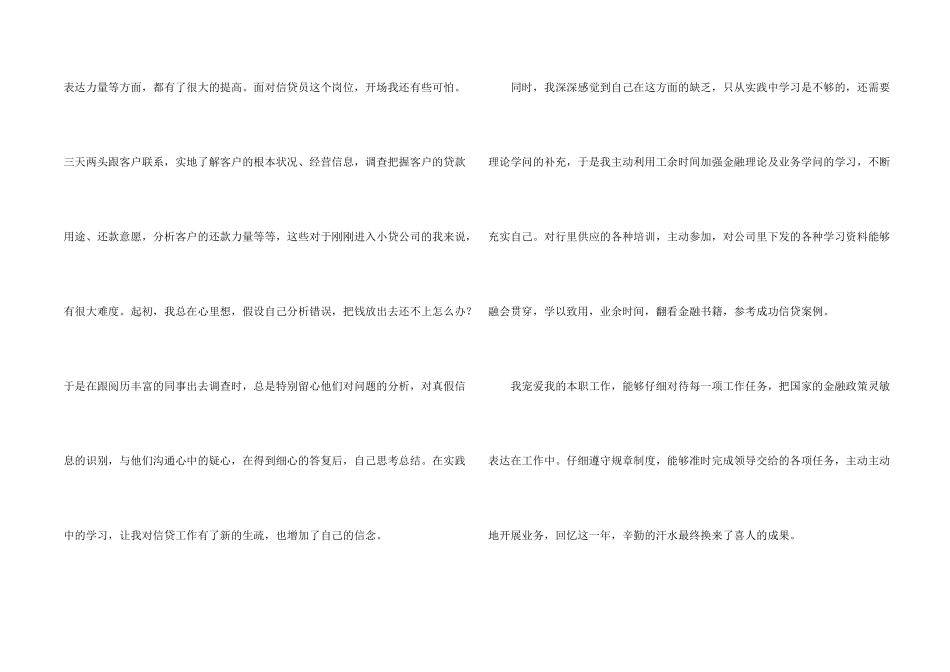 小额贷款公司员工的个人年终总结_第2页