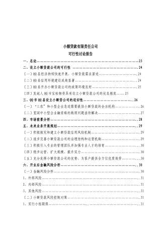 小额贷款可行报告