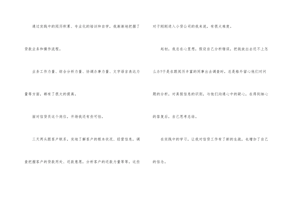 小额贷款工作总结_第2页