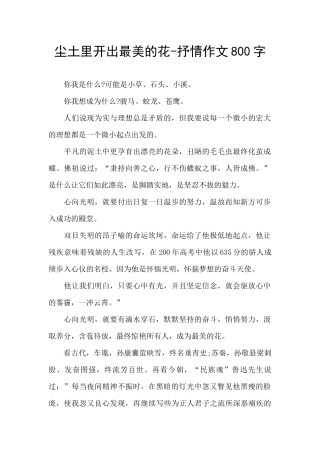 尘土里开出最美的花