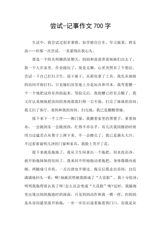 尝试-记事作文700字