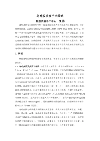 岛叶胶质瘤手术策略doc