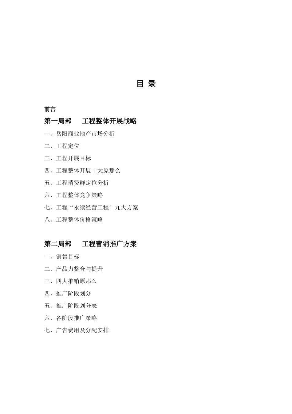 岳阳光宏购物公园商业项目市场营销策划报告_第2页