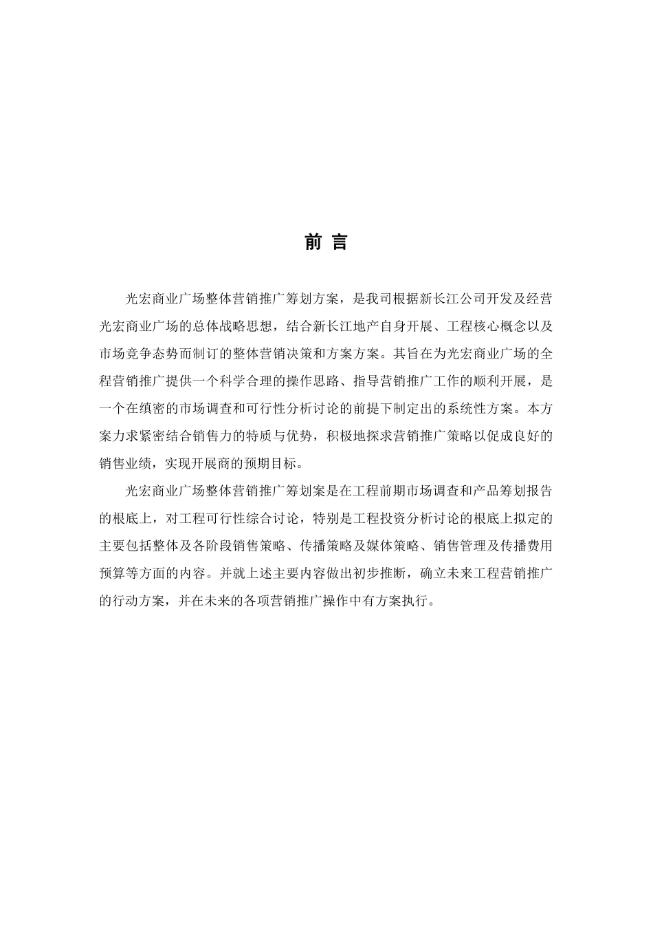 岳阳光宏购物公园商业项目市场营销策划报告_第3页