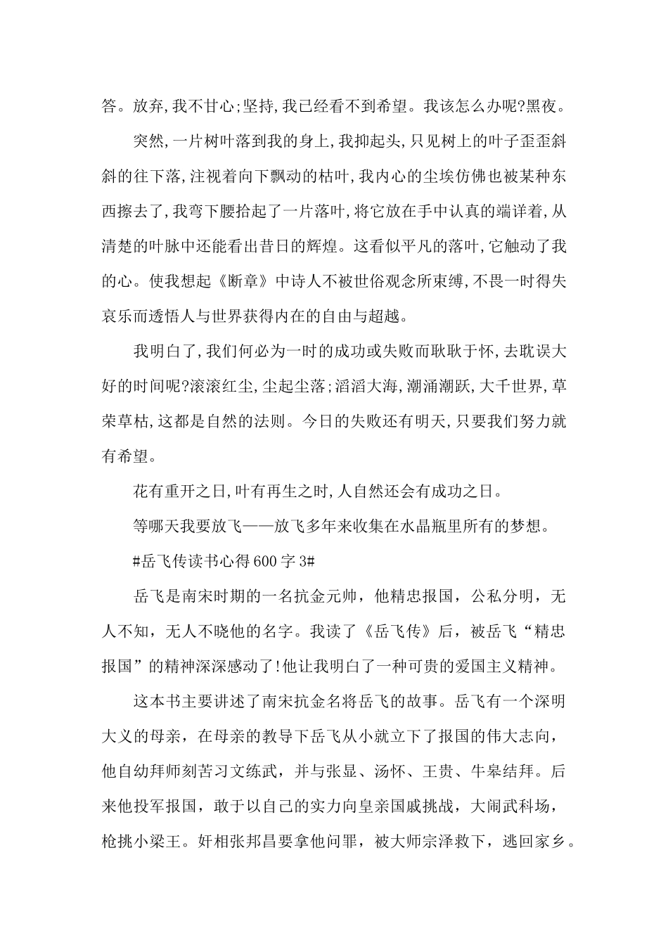 岳飞传读书心得体会600字范文5篇_第3页