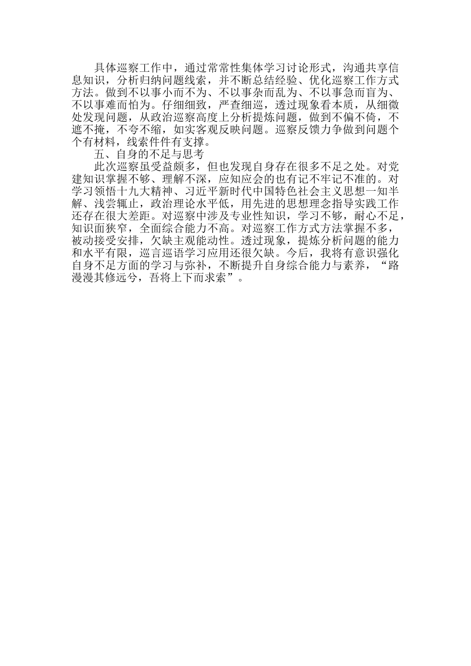 巡察个人总结_第2页