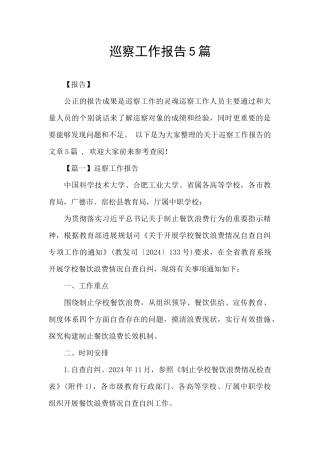 巡察工作报告5篇