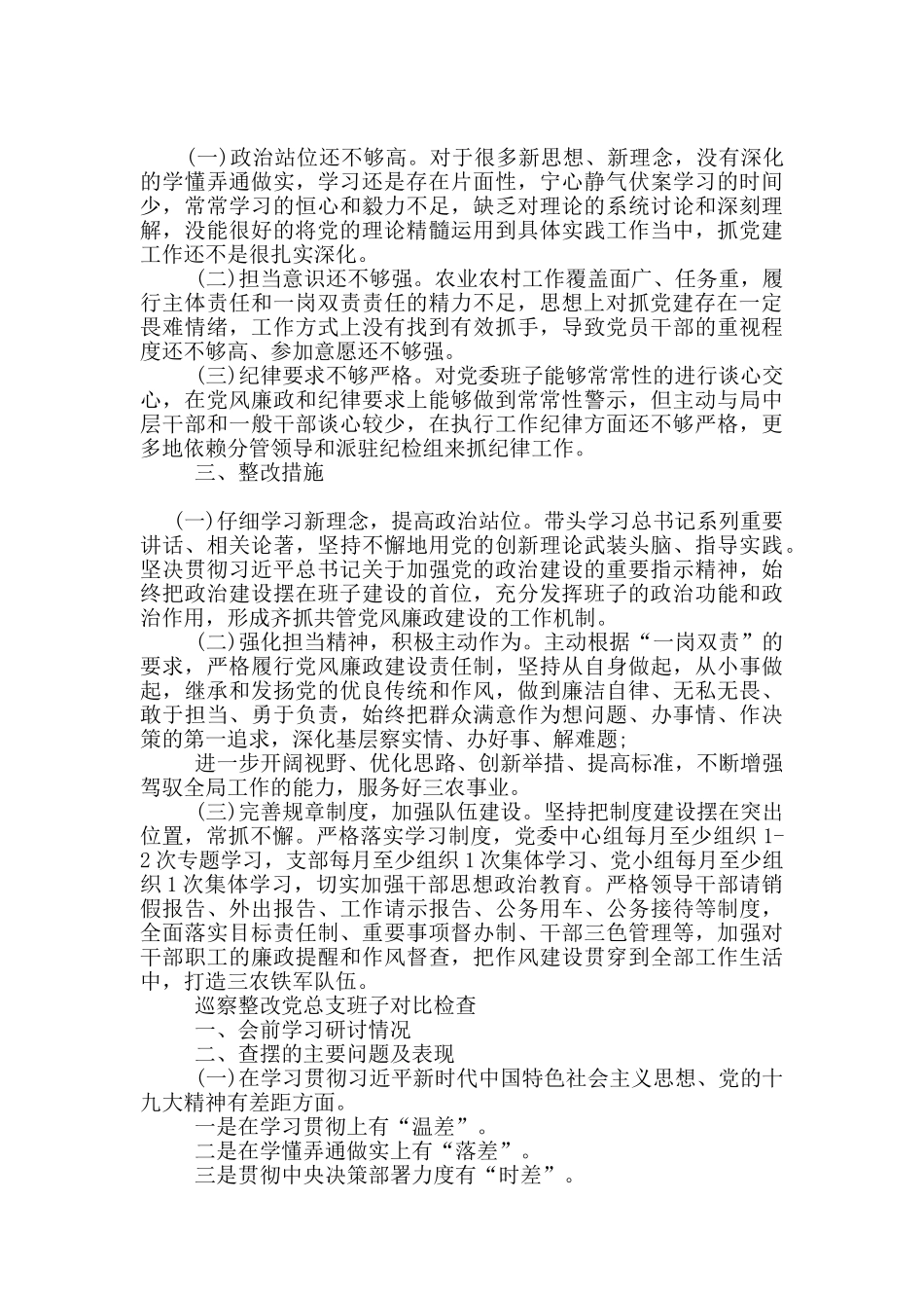 巡察整改党总支班子对照检查_第2页