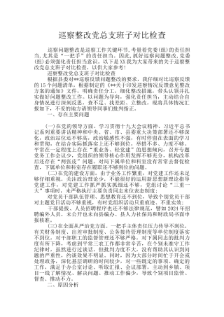 巡察整改党总支班子对照检查