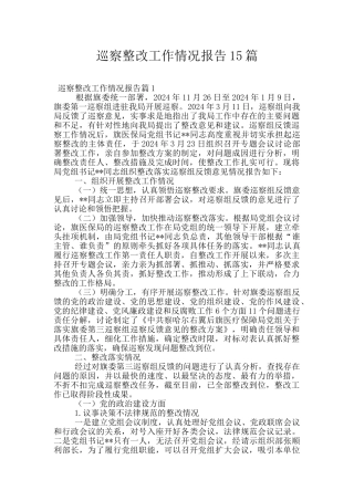 巡察整改工作情况报告15篇