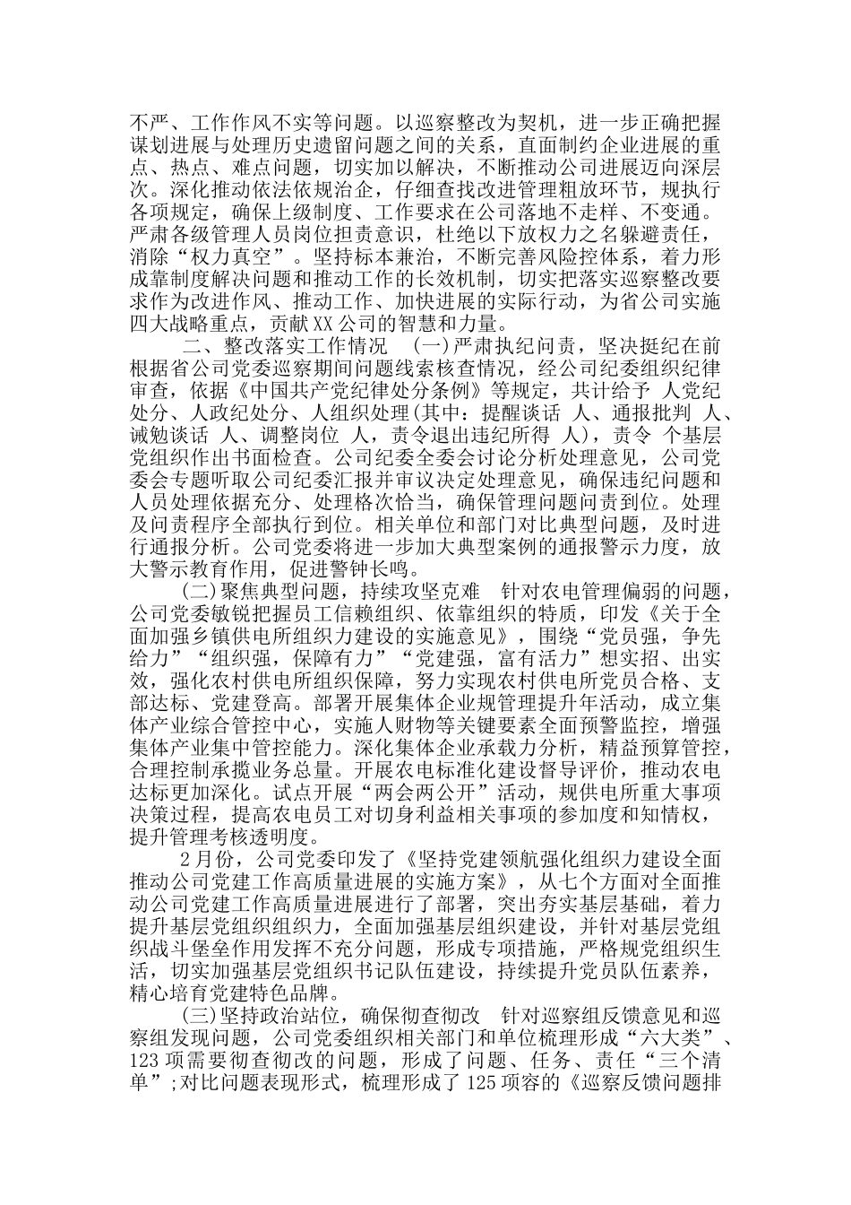 巡察整改工作主要负责人组织落实情况报告2024_第2页