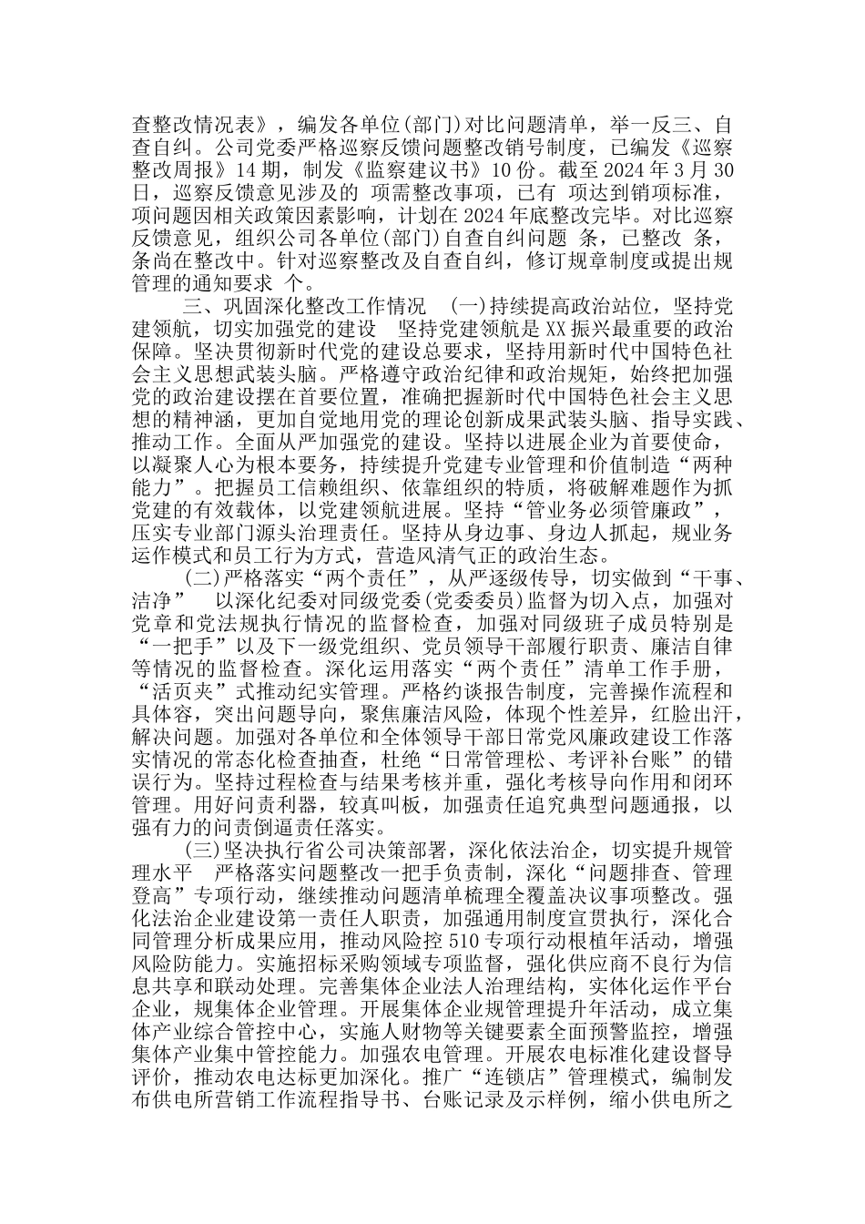 巡察整改工作主要负责人组织落实情况报告2024_第3页