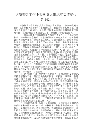 巡察整改工作主要负责人组织落实情况报告2024