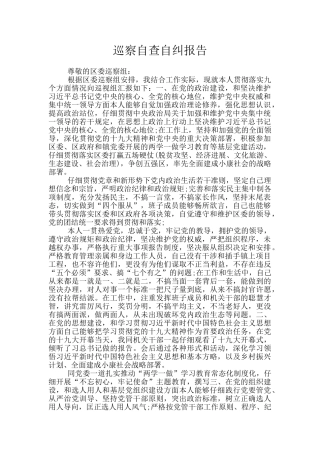 巡察自查自纠报告