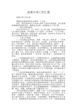 巡视专项工作汇报