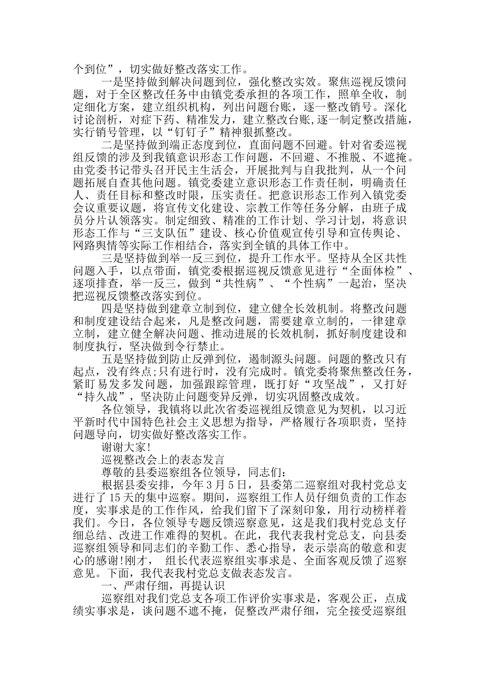 巡视整改会上的表态发言_第3页