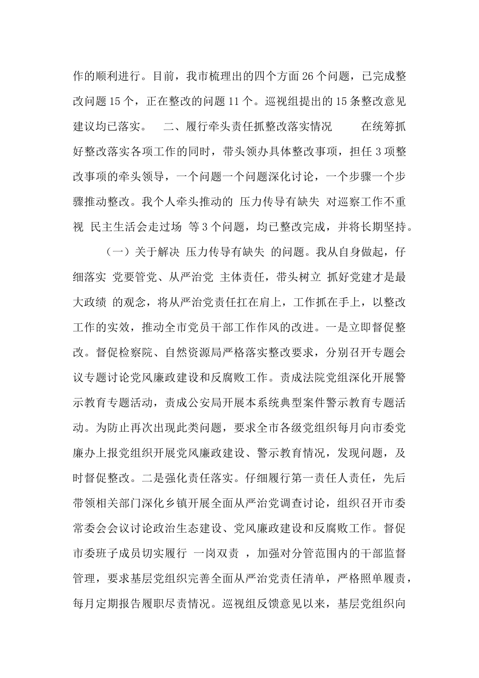 巡视整改书记落实责任报告_第3页