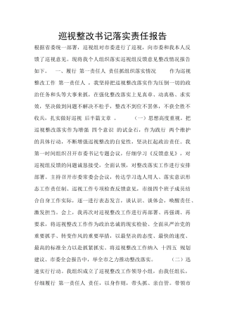 巡视整改书记落实责任报告