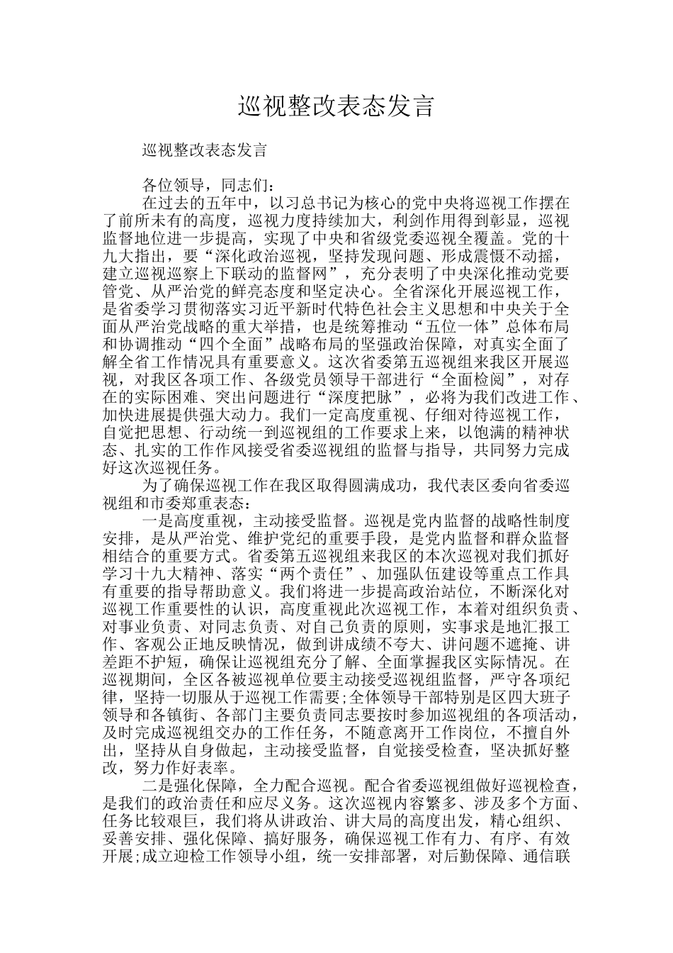 巡视整改表态发言_第1页