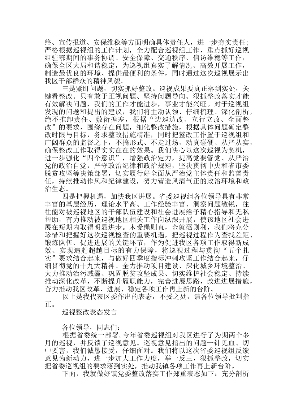 巡视整改表态发言_第2页