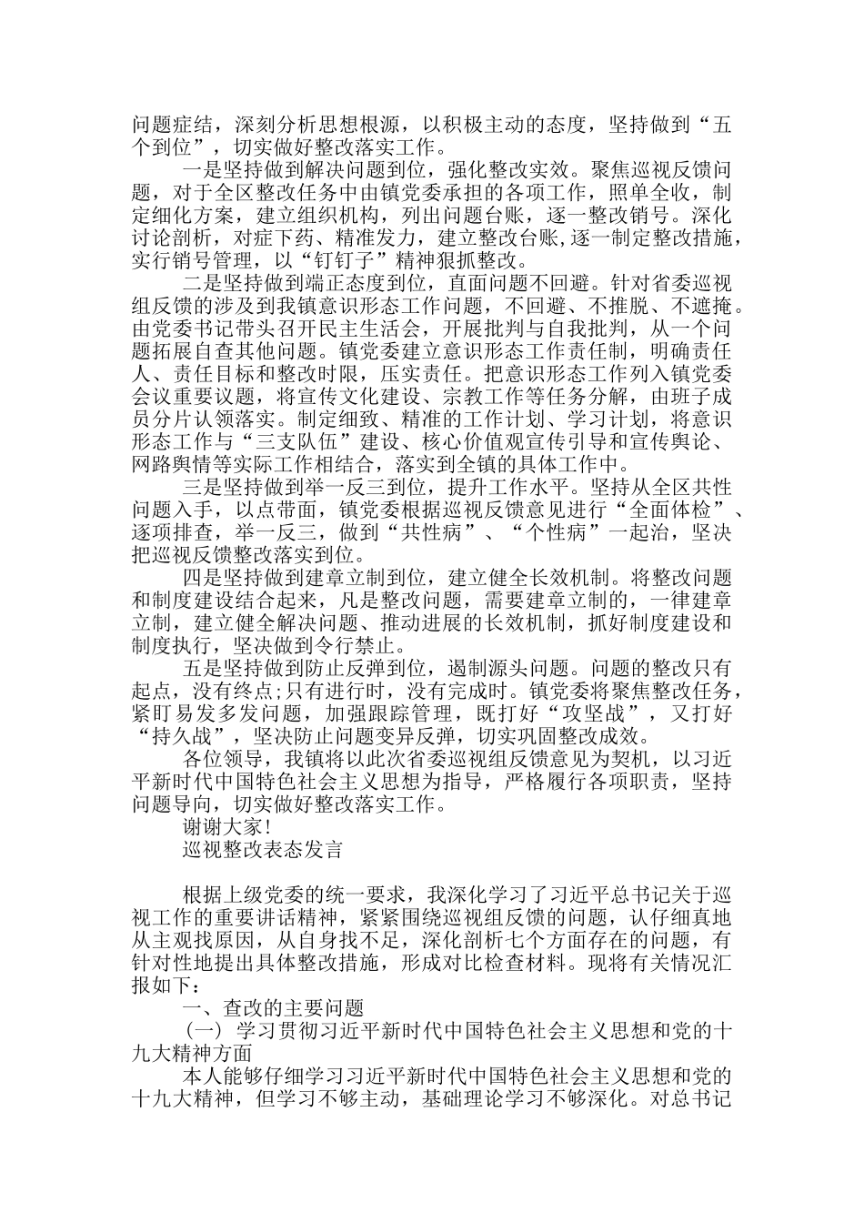 巡视整改表态发言_第3页