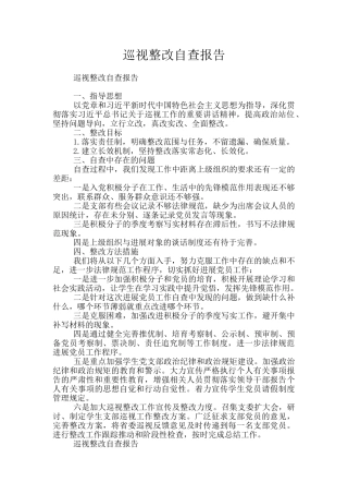 巡视整改自查报告