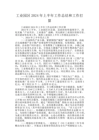 工业园区2024年上半年工作总结和工作打算