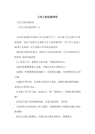 工作上的自我评价