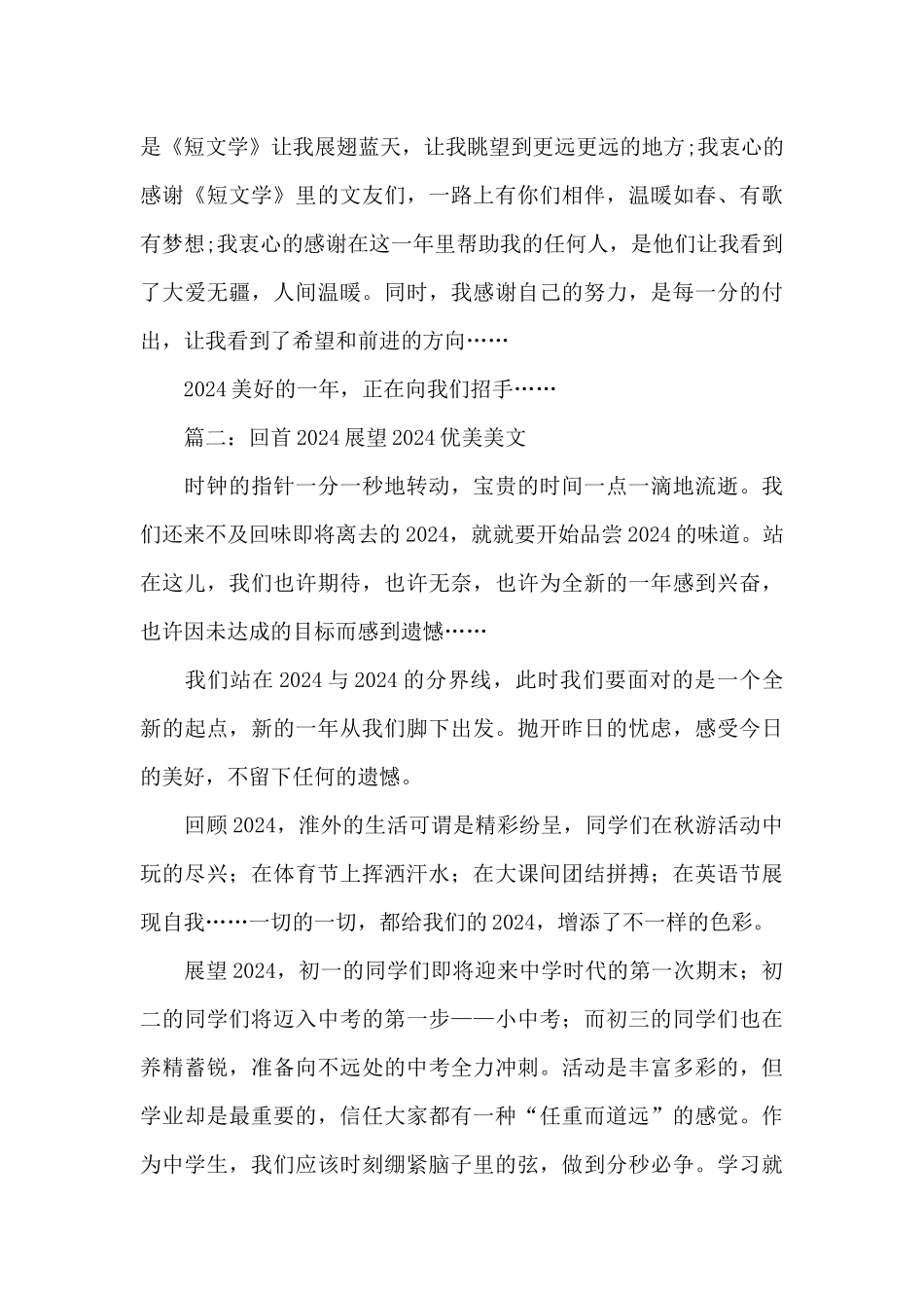 工作回顾20XX展望XX_第3页