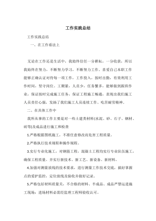 工作实践总结