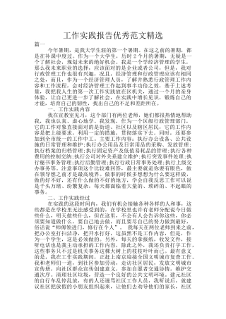 工作实践报告优秀范文精选