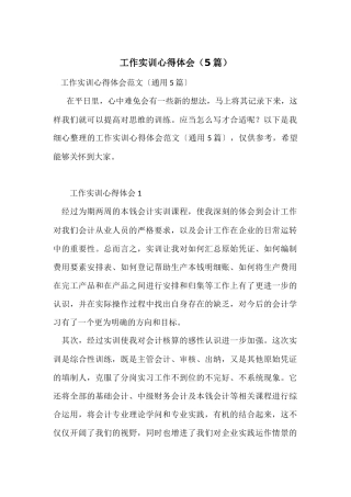 工作实训心得体会