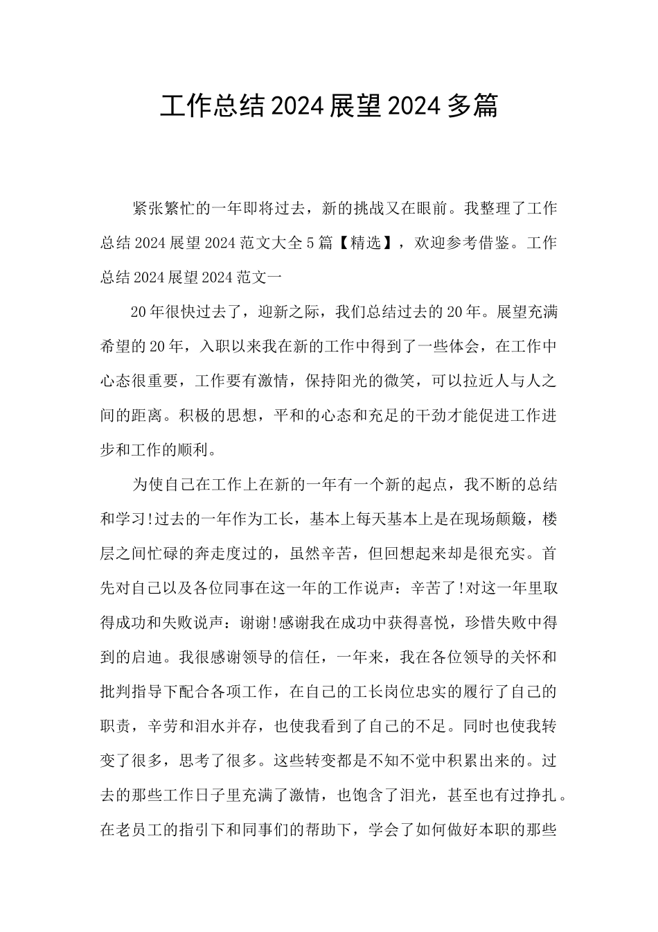 工作总结2024展望2024多篇_第1页