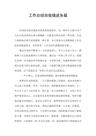 工作总结自我描述多篇