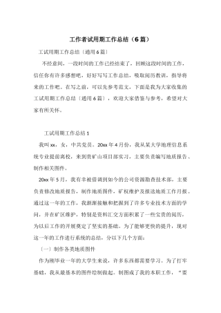 工作者试用期工作总结