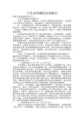 工作试用期的总结报告