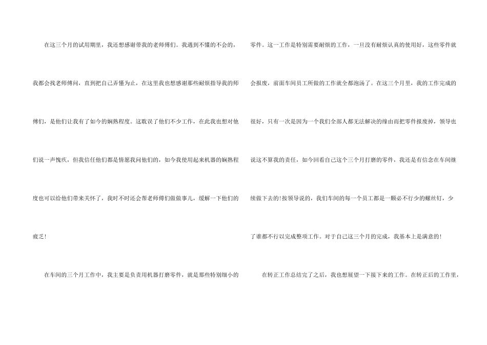 工厂员工试用期转正工作总结2024年5篇_第2页