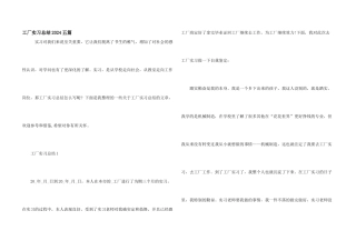 工厂实习总结2024五篇