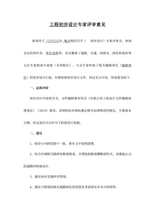 工程初步设计专家评审意见