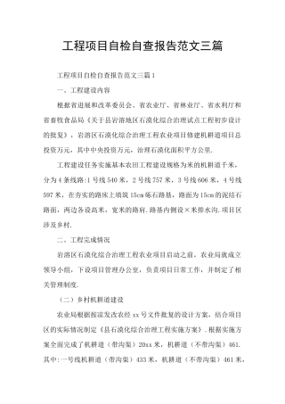 工程项目自检自查报告范文三篇