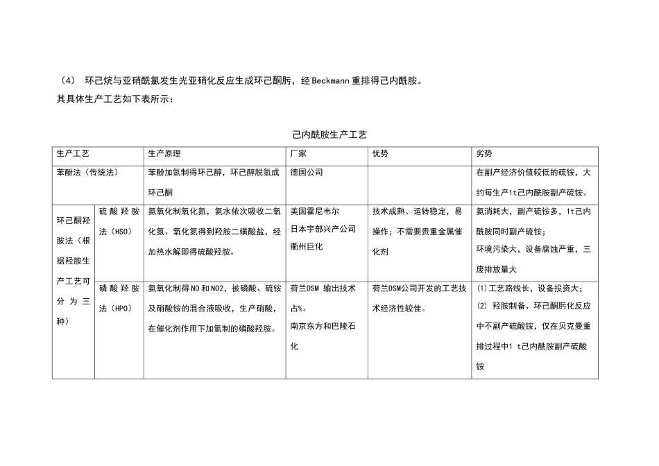 己内酰胺生产工艺比较_第2页