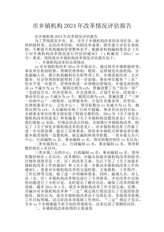 市乡镇机构2024年改革情况评估报告