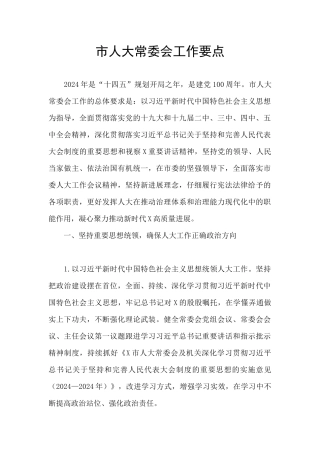 市人大常委会工作要点