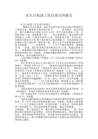 市人行权清工作自查自纠报告