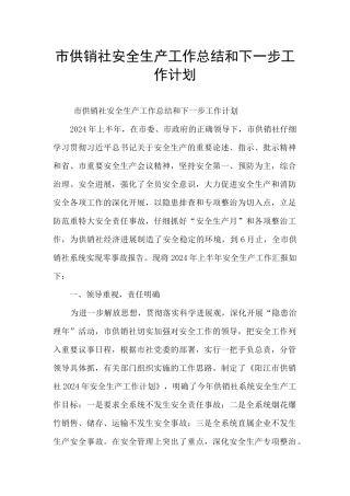 市供销社安全生产工作总结和下一步工作计划